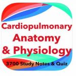 Cardiopulmonary Anatomy & Physiology Exam review