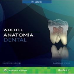 Galería de imágenes del libro Woelfel Anatomía Dental. Foto 1