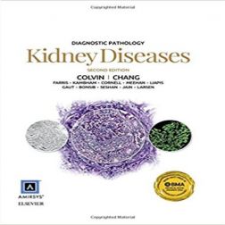 Galería de imágenes del libro Diagnostic pathology . Kidney Diseases 2ª ED.. Foto 1