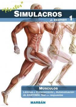Simulacros de examen - Músculos