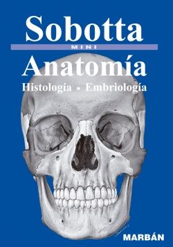 Galería de imágenes del libro Anatomía Histología Embriología. Foto 1