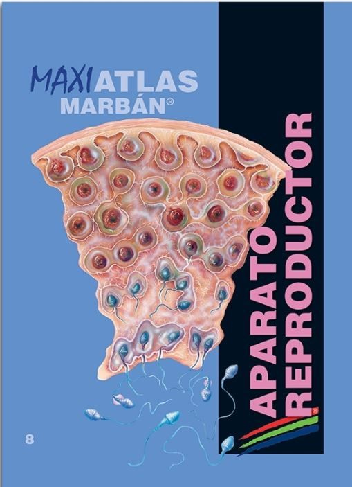 Maxi Atlas 9 Sangre Sistema Inmunitario
