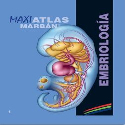 Galería de imágenes del libro Maxi Atlas 1 Embriología. Foto 1