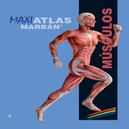 Galería de imágenes del libro Maxi Atlas 3 Músculos. Foto 1