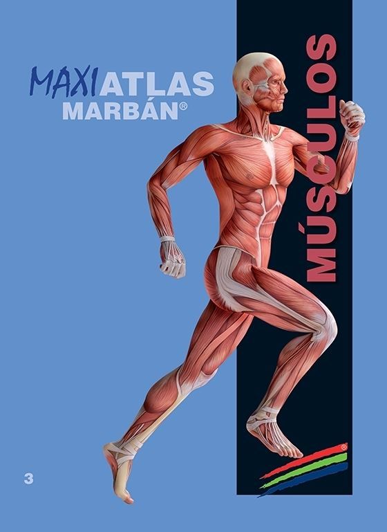 Maxi Atlas 3 Músculos