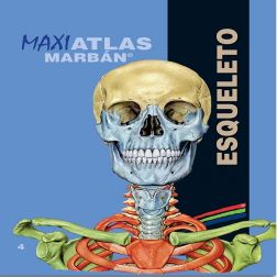 Galería de imágenes del libro Maxi Atlas 4 Esqueleto. Foto 1