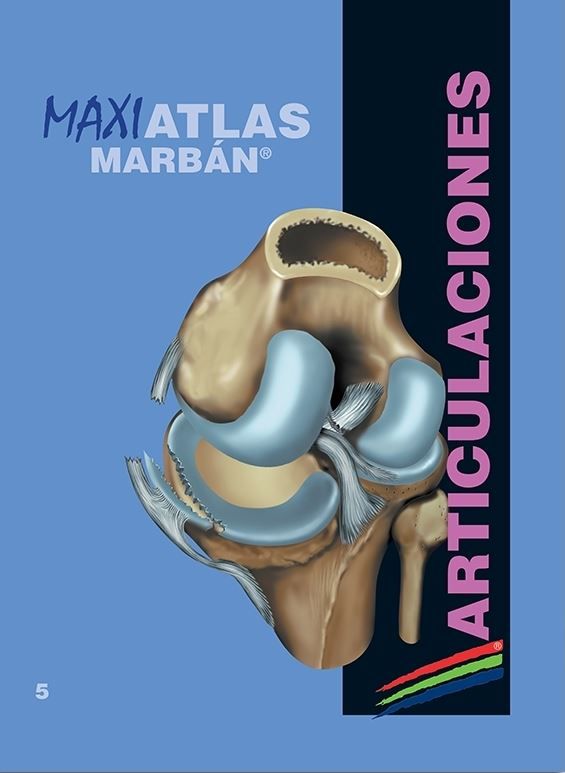 Maxi Atlas 5 Articulaciones