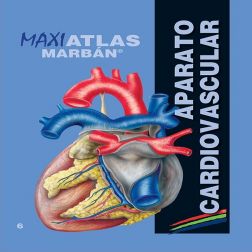 Galería de imágenes del libro Maxi Atlas 6 Aparato Cardiovascular. Foto 1