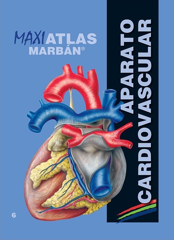 Maxi Atlas 6 Aparato Cardiovascular
