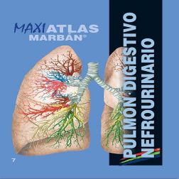 Galería de imágenes del libro Maxi Atlas 7 Pulmón Digestivo Nefrourinario. Foto 1