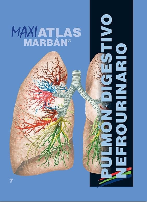 Maxi Atlas 7 Pulmón Digestivo Nefrourinario