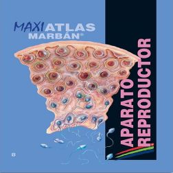 Galería de imágenes del libro Maxi Atlas 8 Aparato Reproductor. Foto 1