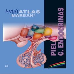 Galería de imágenes del libro Maxi Atlas 10 Piel Glándulas Endocrinas. Foto 1