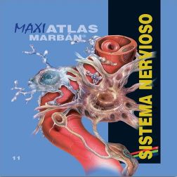 Galería de imágenes del libro Maxi Atlas 11 Sistema Nervioso. Foto 1