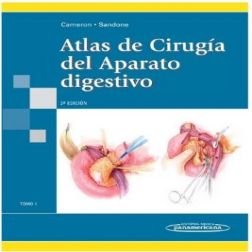 Galería de imágenes del libro Atlas de Cirugía del Aparato digestivo Tomo 1. Foto 1