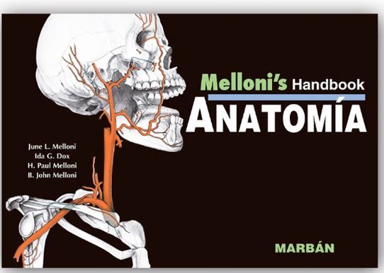 Anatomía - Melloni