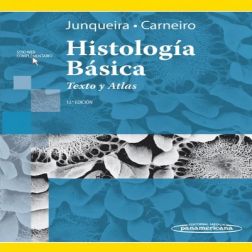 Galería de imágenes del libro Histología Básica - Junqueira. Foto 1