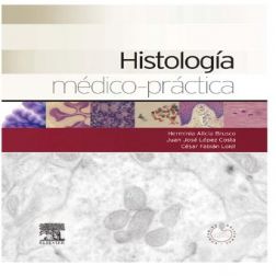 Galería de imágenes del libro Histología médico-práctica. Foto 1
