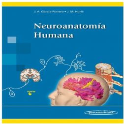 Galería de imágenes del libro Neuroanatomía Humana. Foto 1