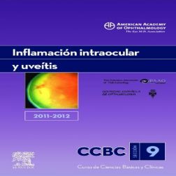 Galería de imágenes del libro Inflamación intraocular y uveítis 2011-2012. Foto 1