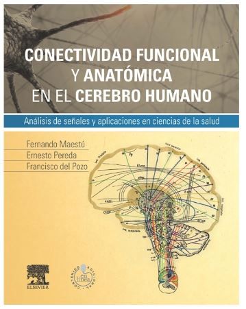 Conectividad funcional y anatómica en el cerebro humano