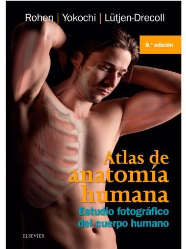 Atlas de anatomía humana. Estudio fotográfico del cuerpo humano