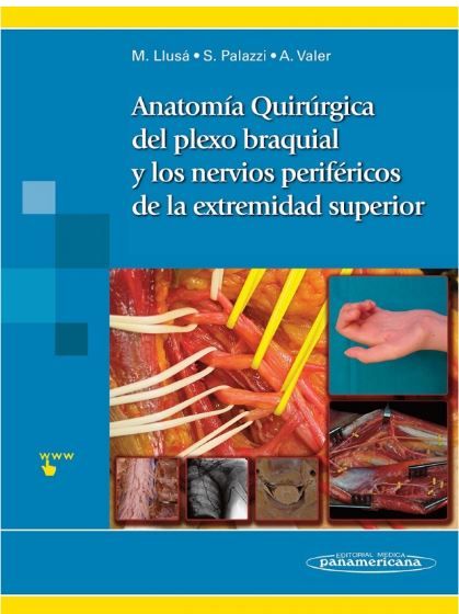 Anatomía Quirúrgica del plexo braquial y nervios periféricos de la extremidad superior