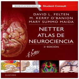 Galería de imágenes del libro Netter Atlas de Neurociencia. Foto 1