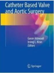 Catheter Based Valve And Aortic Surgery