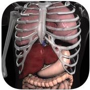 Galería de imágenes del libro Anatomy 3D - Organs. Foto 1